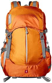 Basics Hiker  Bag